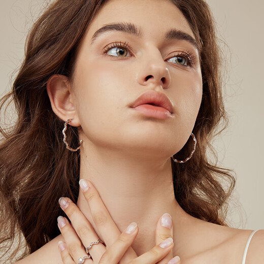 Arsis Streamer Series Sparkling Earrings Women's Earrings Fashion Jewelry 925 Silver Needle as a Birthday Gift for My Girlfriend