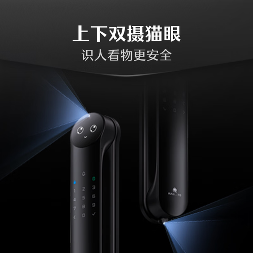 德施曼（DESMAN）Ai智能门锁3D人脸识别可视猫眼双摄双屏小圆脸麒麟R9精灵版