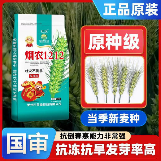 Strong man, original seed grade, Tobacco Nong 1212 wheat seed, genuine, high-yielding, drought-resistant and frost-resistant winter wheat seed, a new variety of winter wheat seed, high-purity wheat seed approved by both countries, 15 kg, original seed grade