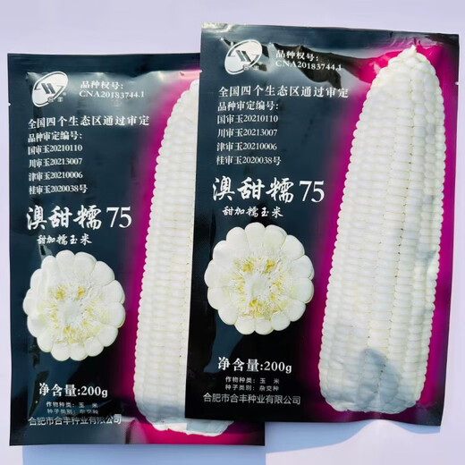 Семена сладкой и восковой кукурузы, австралийские сладкие и восковые 75 очень больших палочек, хороший вкус, высокая урожайность и устойчивость к болезням, фермерские весенние и осенние семена белой восковой кукурузы, сладкие и восковые семена кукурузы Xin'ao 75, оригинальные 200 г