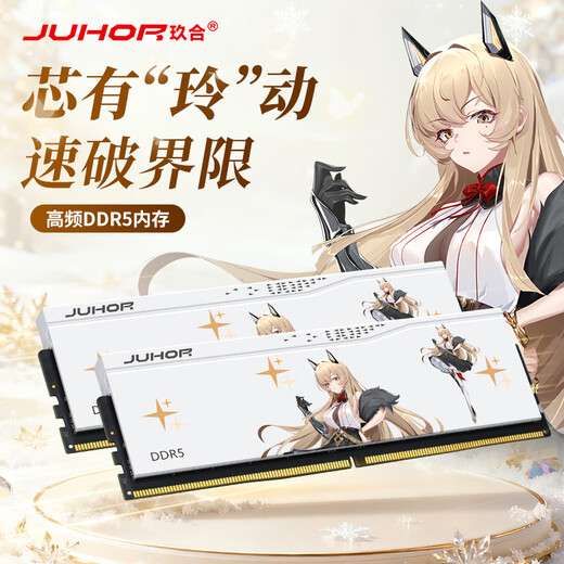 JUHOR玖合 32GB(16GBx2)套装 DDR5 6000 台式机内存条 海力士A-die颗粒 CL28 玲珑无灯 助力AI 