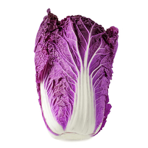 Qiuying Purple Cabbage Seeds Purple Beauty Chinese Cabbage Seeds High Yield Four Seasons Spring and Autumn Vegetable Seeds Easy to Grow and Delicious Purple Cabbage Seeds 1 Pack