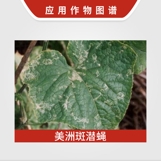 Heyi Jiangxi Heyi Dianke 50% cyromazine insecticide cucumber American spotted fly insecticide agricultural use 8g