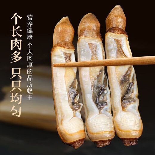 Fresh razor clam meat, commercial razor clam, big bamboo razor clam meat, seafood, frozen, fresh and frozen razor clam wholesale, freshly peeled bamboo razor clam, pure meat, 1500g (net weight), three large packages