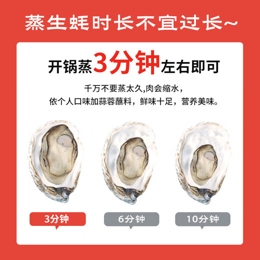 Fresh Jingcai Fresh Oysters 6XL Net weight 5Jin Jin is equal to 0.5kg 6-8 oysters Fresh to your home Fresh seafood Straight from the source