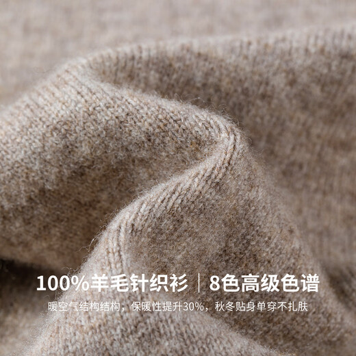 Shanshan 100 pure wool sweaters for men autumn and winter 2025 new warm autumn clothes business casual sweaters for men