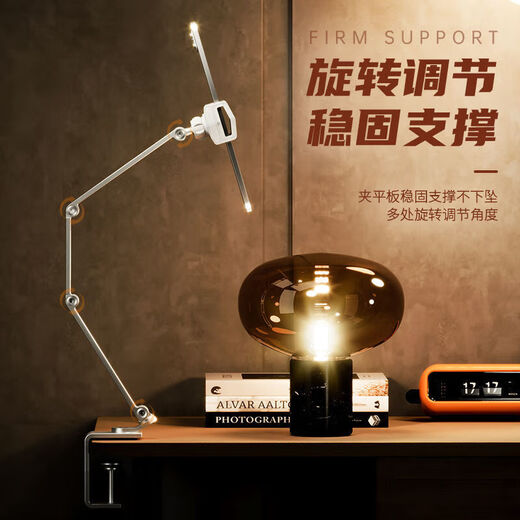 FANCYCHICipad Tablet Phone Lazy Stand Desktop Special Bedside Support Folding Portable Aluminum Alloy Cantilever Office P60 Haoyue Silver