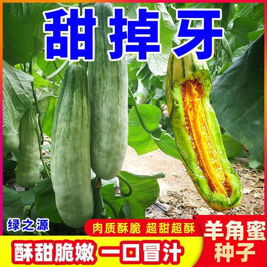 Croissant Melon Seeds, High Yield, Super Sweet Thin Skin Croissant Seeds, Balcony Flower Potted Fruit and Vegetable Seeds, Croissant Seeds, 3 packs of about 300 seeds