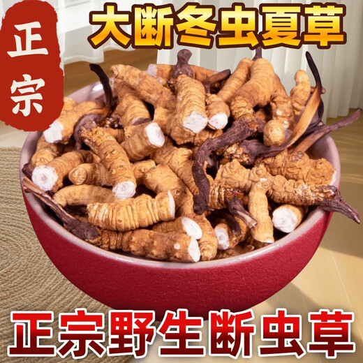 
[Support quality inspection] 10 grams of big broken grass authentic Cordyceps sinensis cordyceps sinensis cordyceps sinensis cordyceps sinensis self-eating nourishing products Cordyceps sinensis 50 grams pack 5 grams hair 55 grams 50 grams