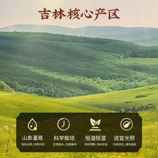 雷允上破壁灵芝孢子粉1g*60袋/盒吉林长白山灵芝粉袍子粉赤灵芝灵芝三萜 【145元/盒】灵芝孢子粉60袋*3盒