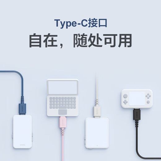 SONY Sony (SONY) IER-EX15C wired headphones Type-C in-ear headphones with microphone for calls, mobile music headphones, suitable for computers and notebooks, black