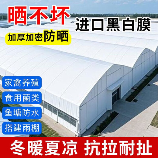 Thickened imported black and white film breeding greenhouse film reflective heat insulation sun protection anti-aging edible fungus plastic film imported new material black and white film 30 silk custom size consultation customer service