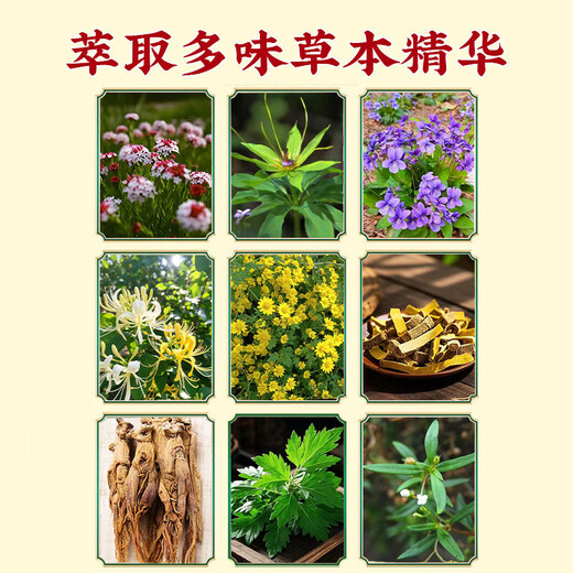 DAGO Hong Kong Fungus King, skin itching, fungal infection, athlete's foot, foot odor, anti-itching, peeling and rotten feet, special special effects genuine product