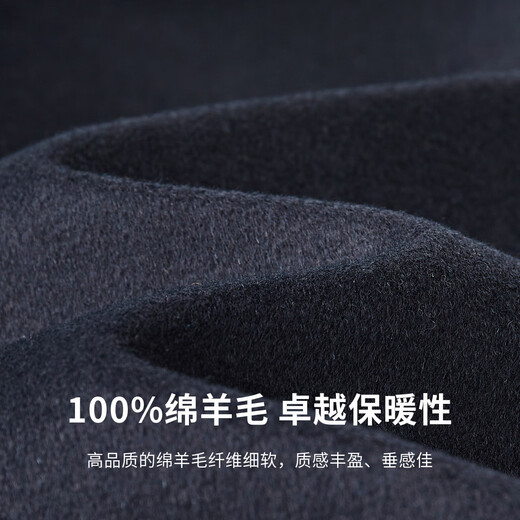Shanshan (FIRS) 100% pure wool jacket men's autumn and winter woolen warm business casual commuting lapel cardigan top