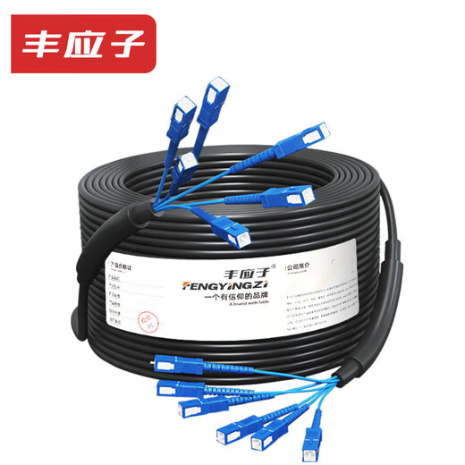 Fengyingzi outdoor multi-mode armored optical cable finished product fiber optic cable jumper fusion-free fiber optic cable carrier grade 6-core SC-SC 500 meters FYZ-Z78F