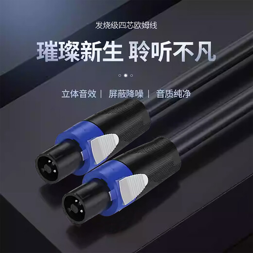 MICGRS audio speaker special connection cable. Fever HIFI grade pure copper audio speaker cable. Equipped with audio head amplifier connection. Shielded and anti-interference. Low loss. 2.5 square meters thick. Speaker cable 30 meters (shielded 2 cores*2.5 square meters).