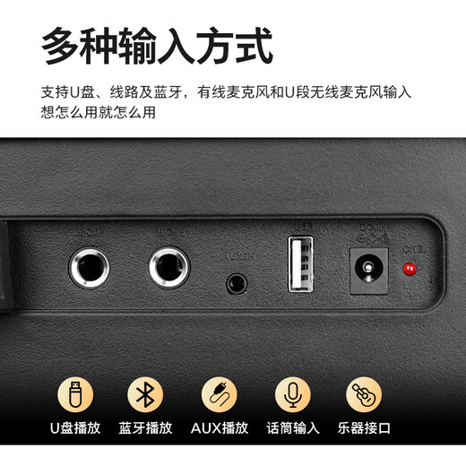 Philips (PHILIPS) square dance audio outdoor stage high-power mobile portable trolley speaker wireless Bluetooth high-volume karaoke amplification with dual microphone SD308