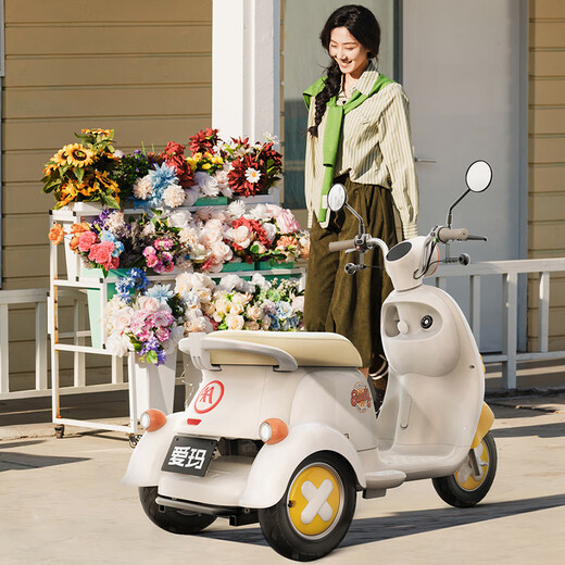 Emma store pick-up Yuanshi Q20 electric tricycle small covered car to pick up children and the elderly mobility scooter Select color in store to pick up the car