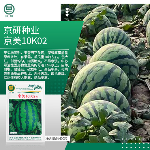 Jingyan watermelon seeds super sweet small watermelon Jingxin 8424 rock sugar unicorn melon Academy of Agricultural Sciences watermelon seedlings lazy melon seeds Jingmei 10K02 about 400 capsules
