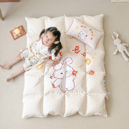 Antibacterial and anti-mite down white duck down quilt core, children's down quilt, infant student duck down quilt, spring and autumn quilt bedding, performance rabbit with model, soft and comfortable 160*210cm 800g down winter quilt
