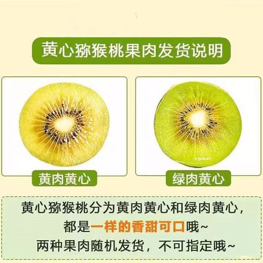 Jia Lumi Yellow Heart Kiwi Fruit Henan Xixia Kiwi Fruit Fresh Seasonal Fruit Fresh Fruit Gift Box 12 Pieces (Single Fruit 50-70g)