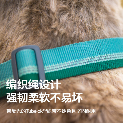 Ruffwell Ryan's webbing dog collar small dog ruffwear pet collar dog collar Shiba Inu dog collar collar River Rock Green M