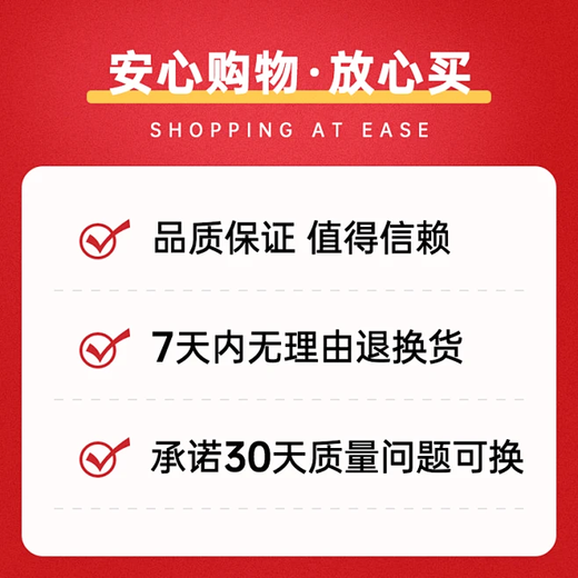 Red Core X30 Mastering Music Player DSD512 Lossless AK4493S Streaming Media Bluetooth DLNA Touch Screen Professional Audio Equipment Silver