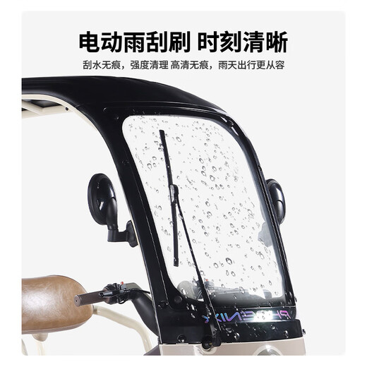 Phoenix Fengya electric tricycle household electric motorcycle adult electric vehicle small tricycle electric vehicle with shed Chaowei battery 600W+60V24A black gold + battery life about 50 kilometers