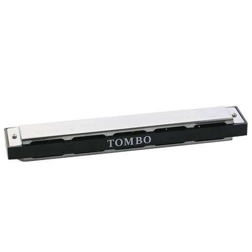 通宝（TOMBO）6624口琴套装 24孔高级演奏复音口琴 12调套装  含TOMBO品牌包