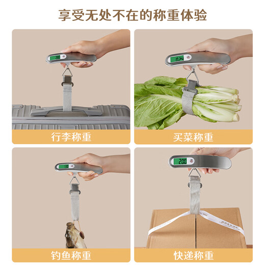 拜杰手提秤电子秤便携式弹簧秤旅游行李秤快递秤家用小挂称吊钩钓鱼秤