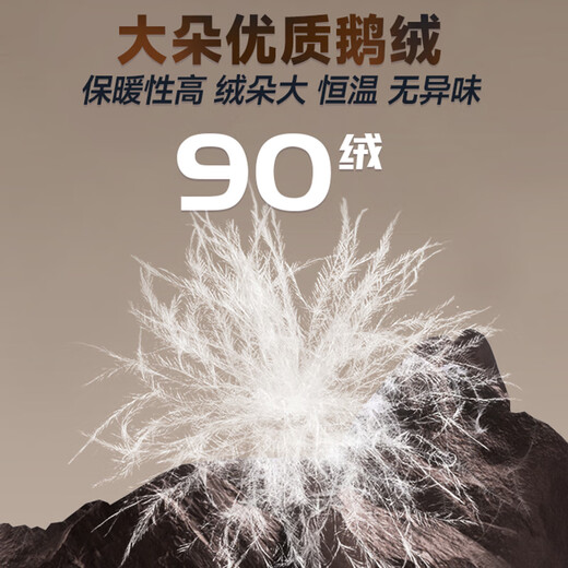 Woodpecker (TUCANO) Goose Down Jacket Men's 2025 Winter New Dad Jacket Middle-aged and Elderly Warm and Cold-proof Top Clothes