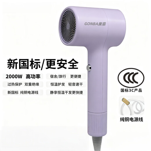 GUANGBA New National Standard Plasma Hair Dryer Hair Care Silent Quick-drying Anti-static Smooth Hair Dryer Hairstylist Special Barber Shop Home Quick-drying Negative Ion Hair Care Hair Dryer Lavender Purple New National Standard Safer 2000W + Styling Nozzle 1.8M Pure Copper Power Cord