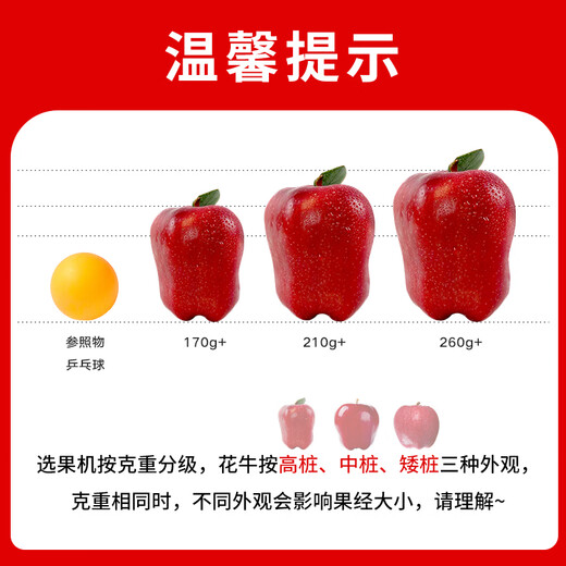 Beijing Fresh Gansu Tianshui Huaniu Apple, net weight 4.5Jin Jin equals 0.5kg, single fruit 170g+, fresh fruit, straight from the source