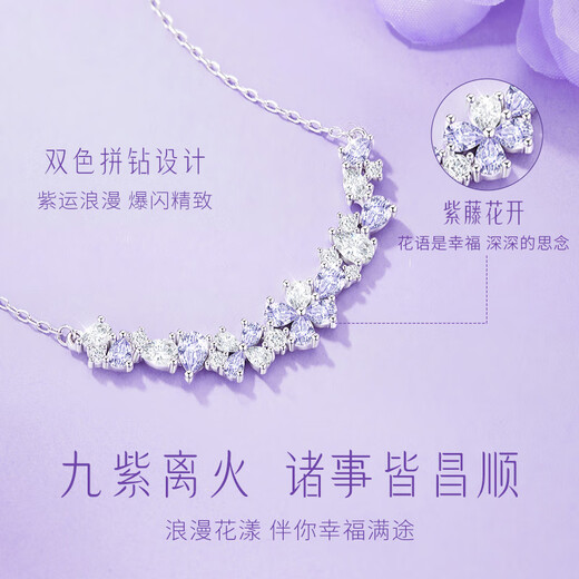 Central Chuang Fashion Chinese Gold and Silver Necklace Girls Clavicle Chain High-end Birthday Gift for Lady Girlfriend Girlfriend Best Friend S925