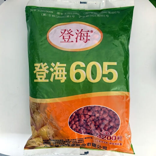 Dual-country review of Shandong 605 corn seeds, red shaft, short stems, large sticks, disease resistance, lodging resistance, high temperature and humidity resistance, Shandong Denghai 605 corn seeds, 4200 grains/bag