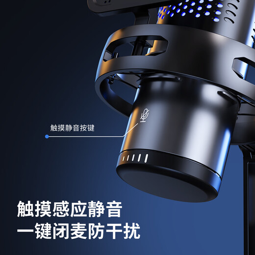 Riksoin computer desktop microphone usb game anchor e-sports live recording microphone noise reduction mobile phone desktop notebook radio microphone karaoke wired condenser microphone professional game condenser microphone plug and play + bright vocals