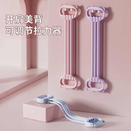 TEEIS German elastic band rope fitness tension rope belt device strength training Pilates arm open shoulder female fitness equipment Fantasy Purple Upgraded 6 tubes thickened