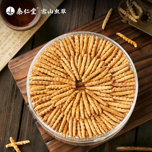 秦仁堂 冬虫夏草断虫草高品质洁净饱满 滋补品养生送礼长辈实用佳品虫草 全虫断草 5克装【自用推荐】