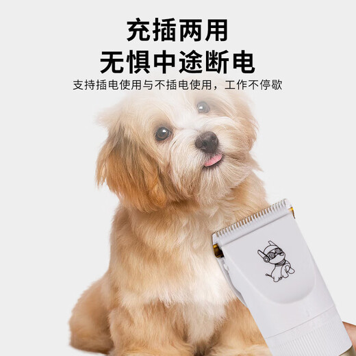 Dog shaver, special pet electric clipper, Teddy cat shaver, professional electric clipper for foot hair, pearl white standard + spare head