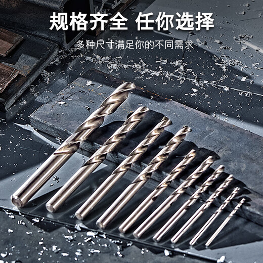 博世（BOSCH）高速金属钢麻花钻头（10支装）HSSG 3.2*36*65mm