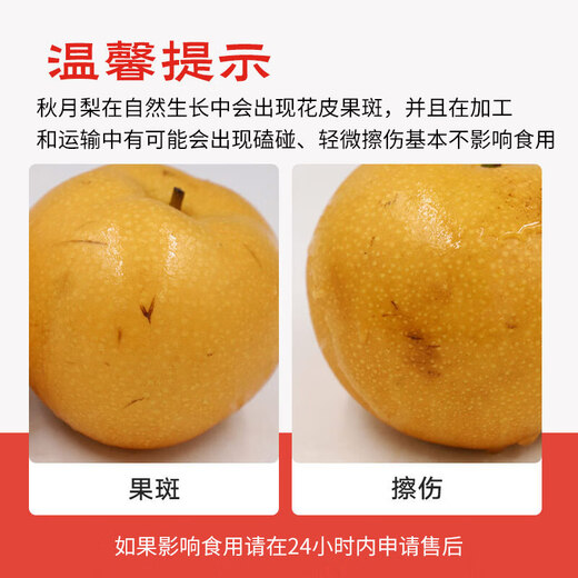 Jingxiansheng Shandong Laiyang Qiuyue Pear Net weight 8Jin Jin is equal to 0.5kg Single fruit 300g+ Self-operated fruit Straight from the source