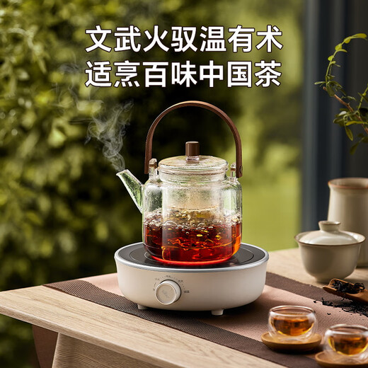 Bear Electric Ceramic Stove Mini Tea Stove Black Tea Old White Tea Pu'er Healthy Tea Stove Small Household Heating Multi-function Non-picking Pot Soft Cooking Surrounding the Stove for Tea DTL-J13Z5 with Teapot 1L