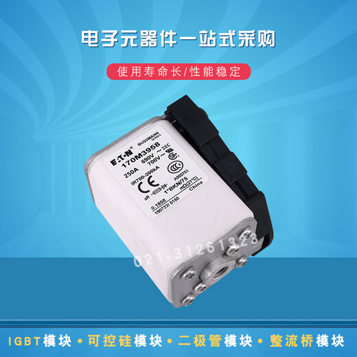 Eaton fast blow fuse 170M34623468 selection 170M3466