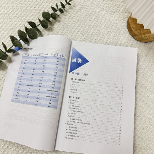 Neue russische Grammatik (2. Auflage)