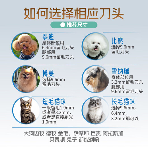 Yingshen Dog Pet Electric Clipper Teddy Bichon Corgi Samoyed Pet Shaver Electric Clipper Pet Supplies 9870 1-2+6.4mm Head Set (Golden Retriever Corgi Samoyed)