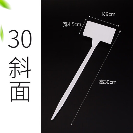 园艺标签花卉植物标签插地标牌防水园艺定制标识牌一体斜面 小立体36cm白(10个)