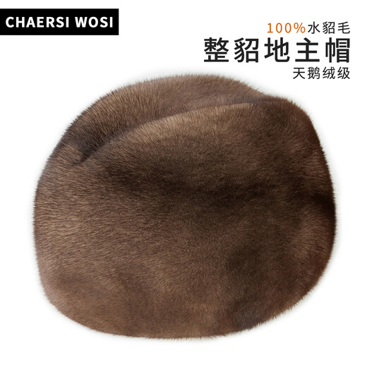 Charles Worth winter full mink fur hat men's mink fur beret ear protection plus velvet middle-aged and elderly gentleman's hat black L (55-56cm)