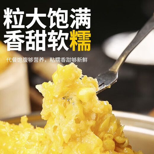 Kaiyuan Baofeng New Northeast Yellow Waxy Corn on the Cob Vacuum-packed Yellow Waxy Corn Fresh First-Stubble Breakfast Meal Replacement 4 first-crop yellow waxy corn average weight >180g