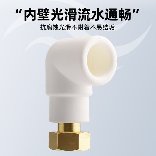 Golden Horn Taurus PPR water pipe accessories 4 minutes 20 hot melt live direct tap water pipe joint connector white 2 pieces
