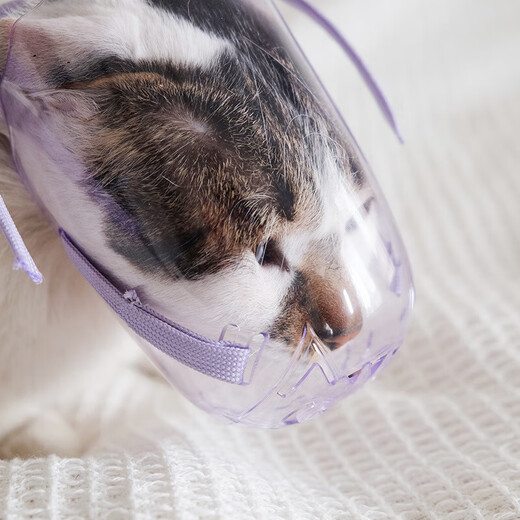 Pet cat muzzle hood, cat anti-biting mouth mask, anti-barking, anti-nuisance, cat collar, hood, mask, nail clipping, M size PE bag